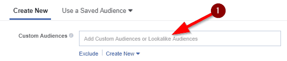 add ad custom audience (1)