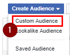 custom audiences (1)